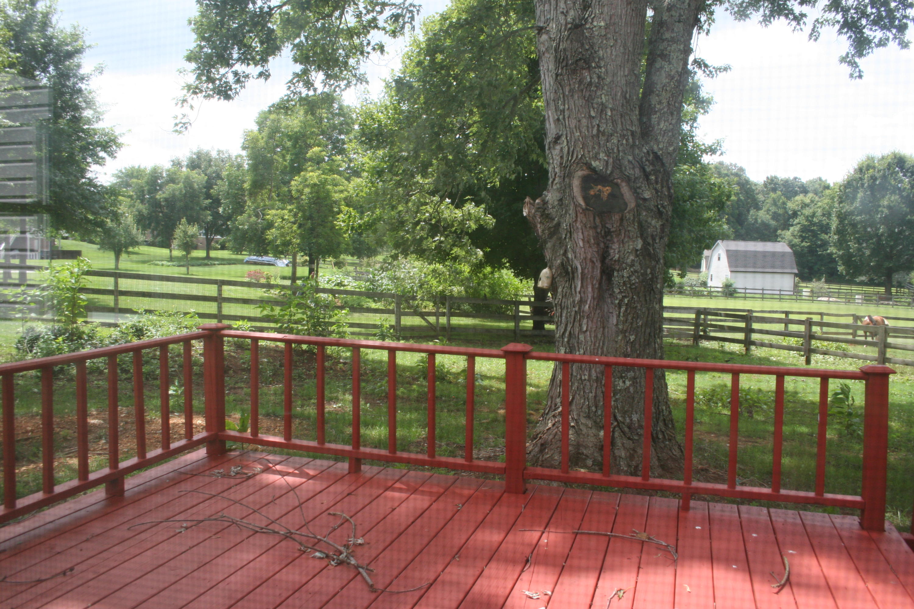 420 Celebration Road Knoxville, TN 37934 - Photo 6 of 30 IMG_3418