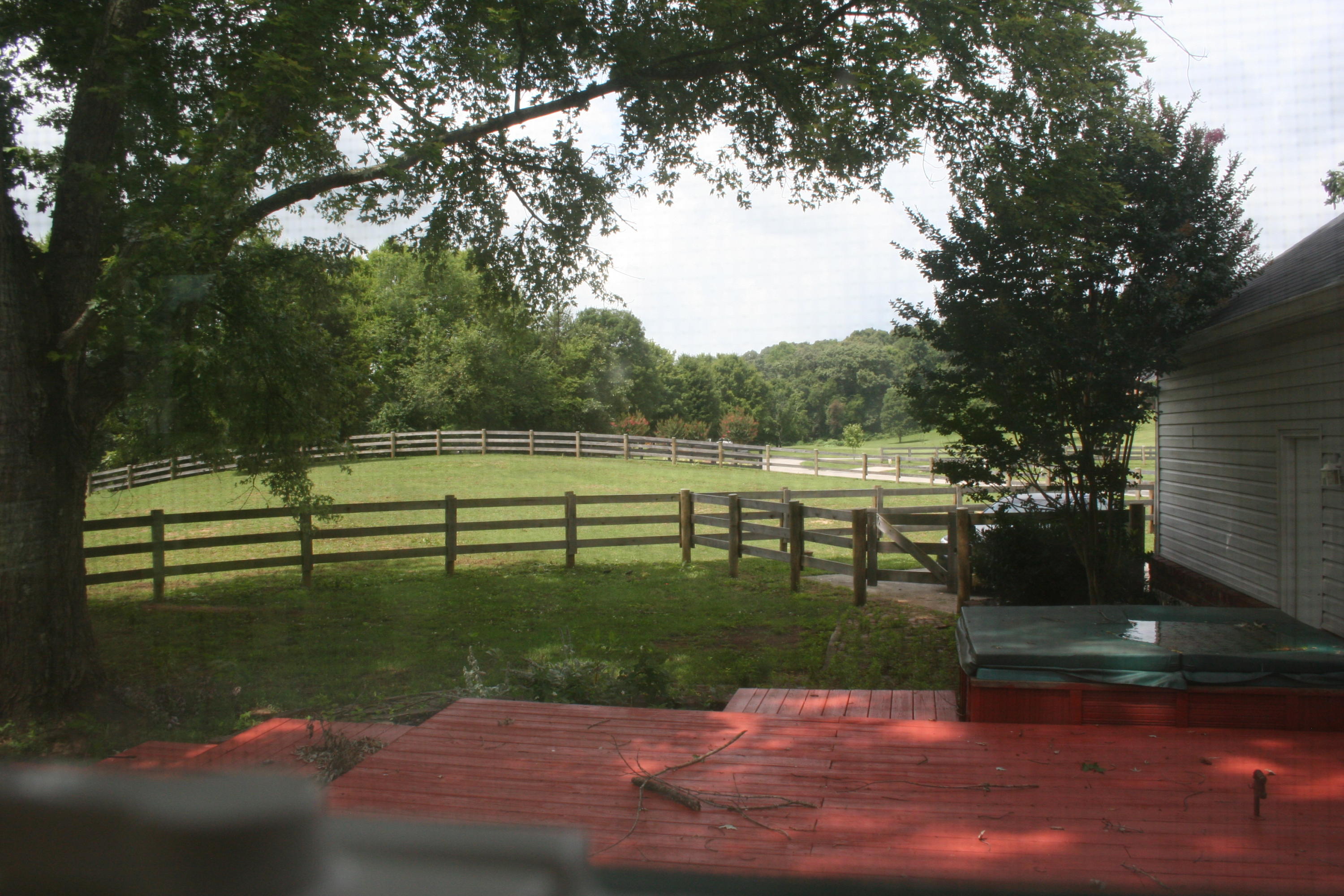 420 Celebration Road Knoxville, TN 37934 - Photo 8 of 30 IMG_3417