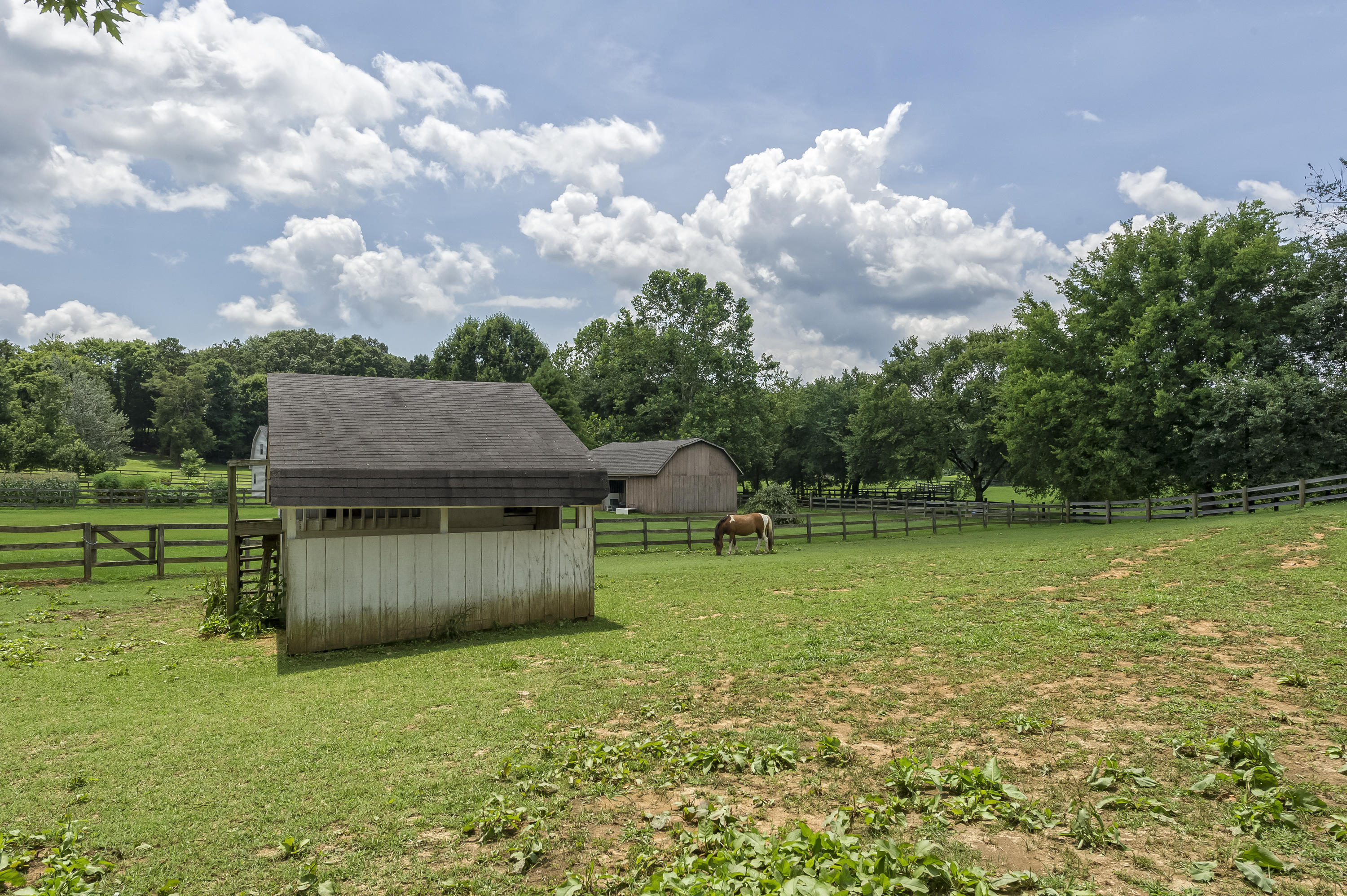 420 Celebration Road Knoxville, TN 37934 - Photo 9 of 30 HOB_5320-Edit