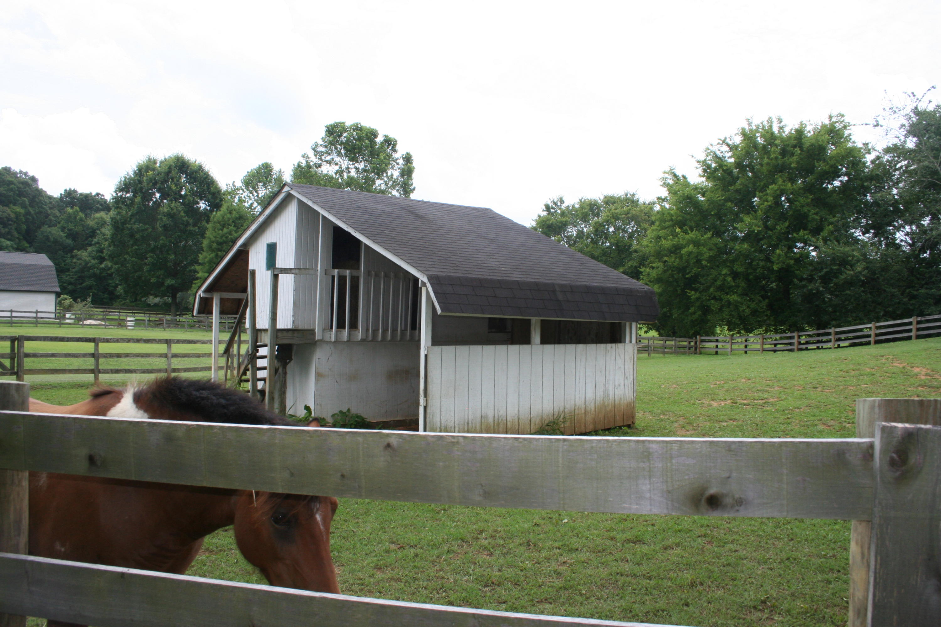 420 Celebration Road Knoxville, TN 37934 - Photo 10 of 30 IMG_3459