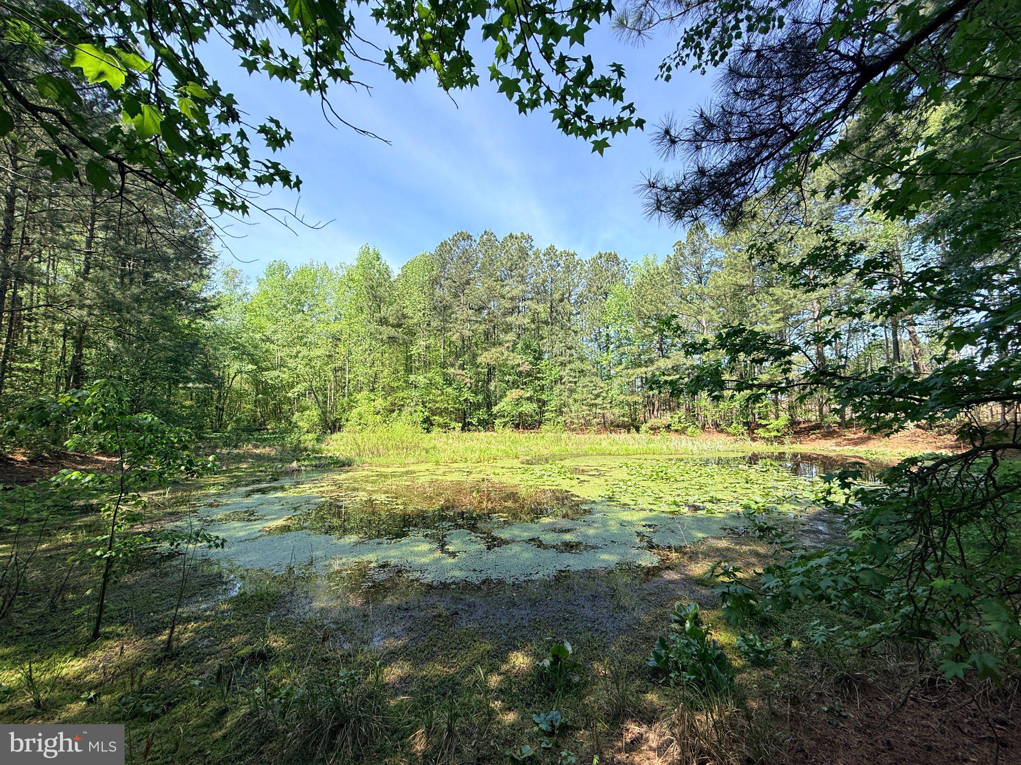 Lot 96 Sturgeon Road Lawrenceville, VA 23868 - Photo 1 of 23