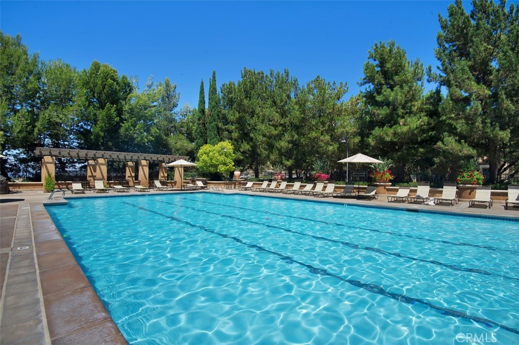237 Coral Rose Irvine, CA 92603 - Photo 3 of 6 swimming pool view with sitting space and garden view