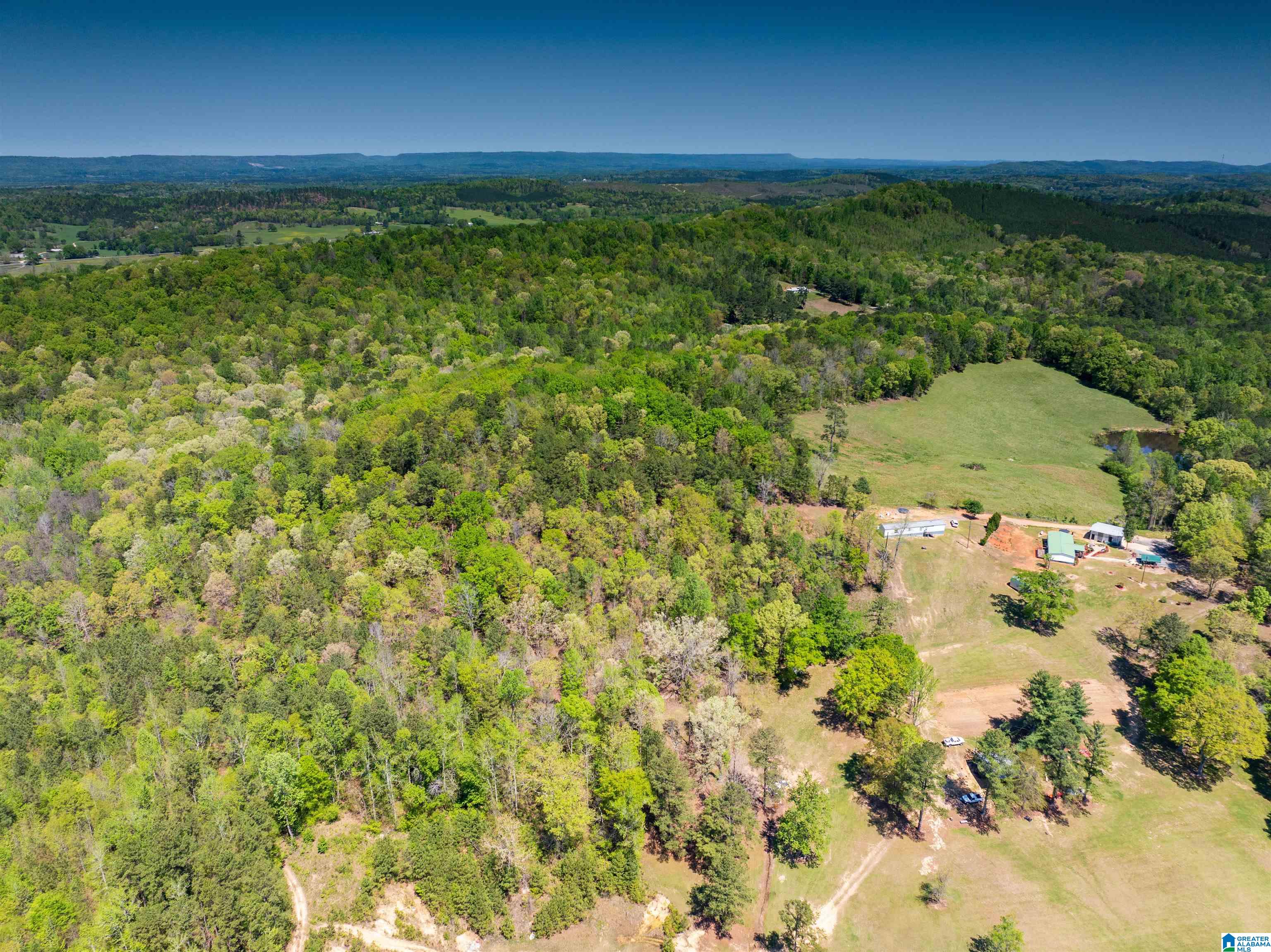 0 Pike Hill Road Ashville, AL 35953 - Photo 14 of 22
