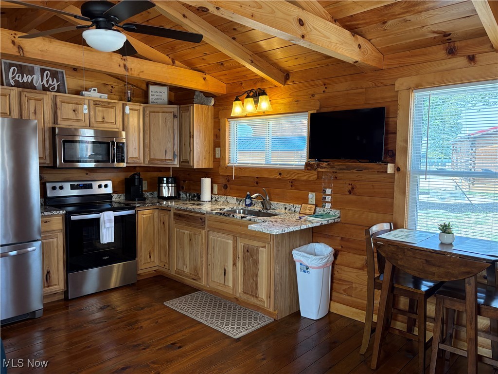 5919 Lake Road West, Unit 18 Ashtabula, OH 44004 - Photo 6 of 32 Kitchen featuring wood walls, appliances with stainless steel finishes, wood ceiling, dark wood-style flooring, and a ceiling fan