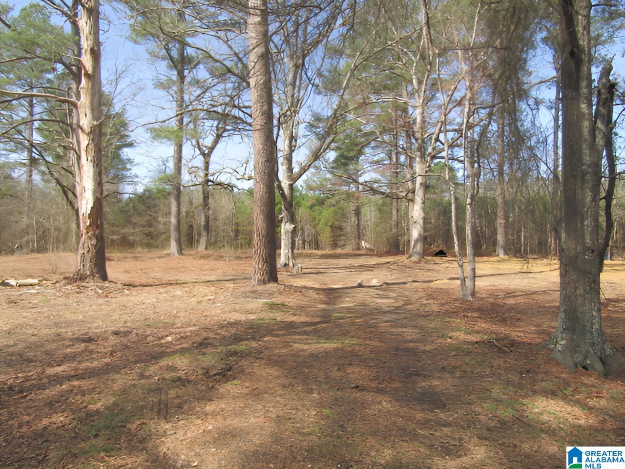 4429 Roy Webb Road Jacksonville, AL 36265 - Photo 11 of 26