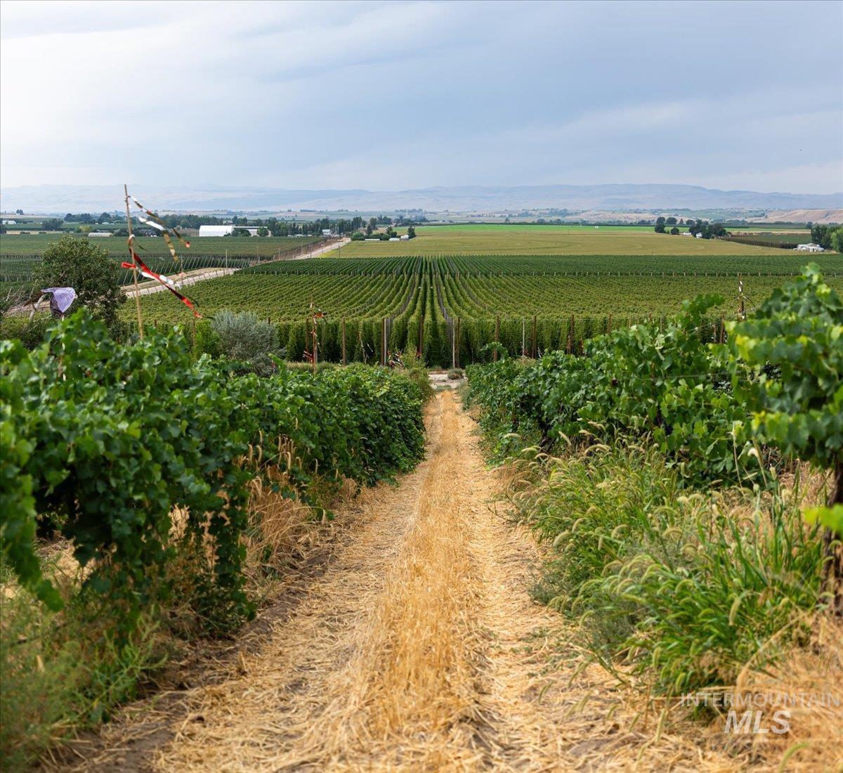 24013 Arena Valley Road Parma, ID 83660 - Photo 1 of 22