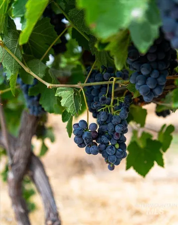 $1,900,000 | 24013 Arena Valley Road, Parma, ID 83660