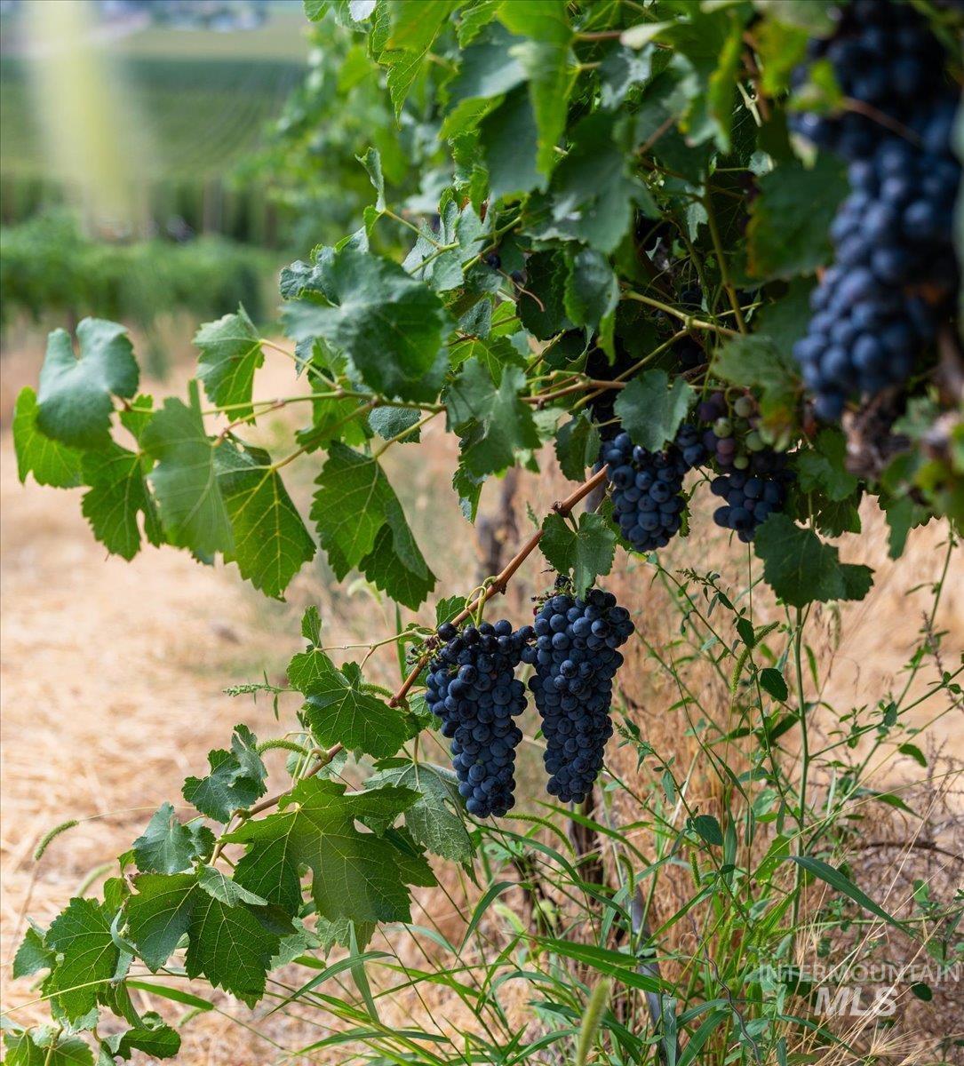 24013 Arena Valley Road Parma, ID 83660 - Photo 22 of 22