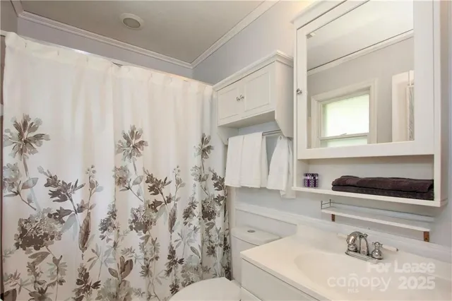 a bathroom with a sink and a toilet