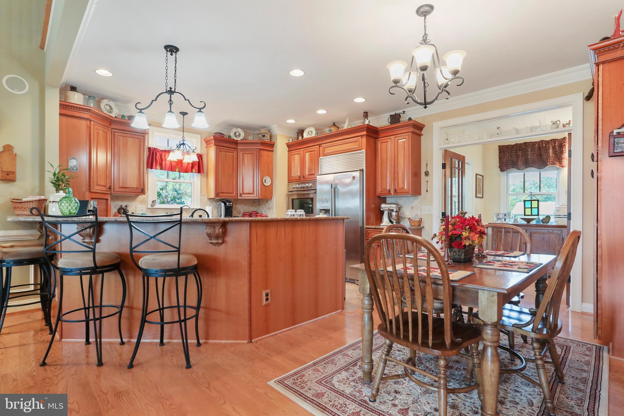 303 Bluff Road Strasburg, VA 22657 - Photo 6 of 65 State of the art kitchen!