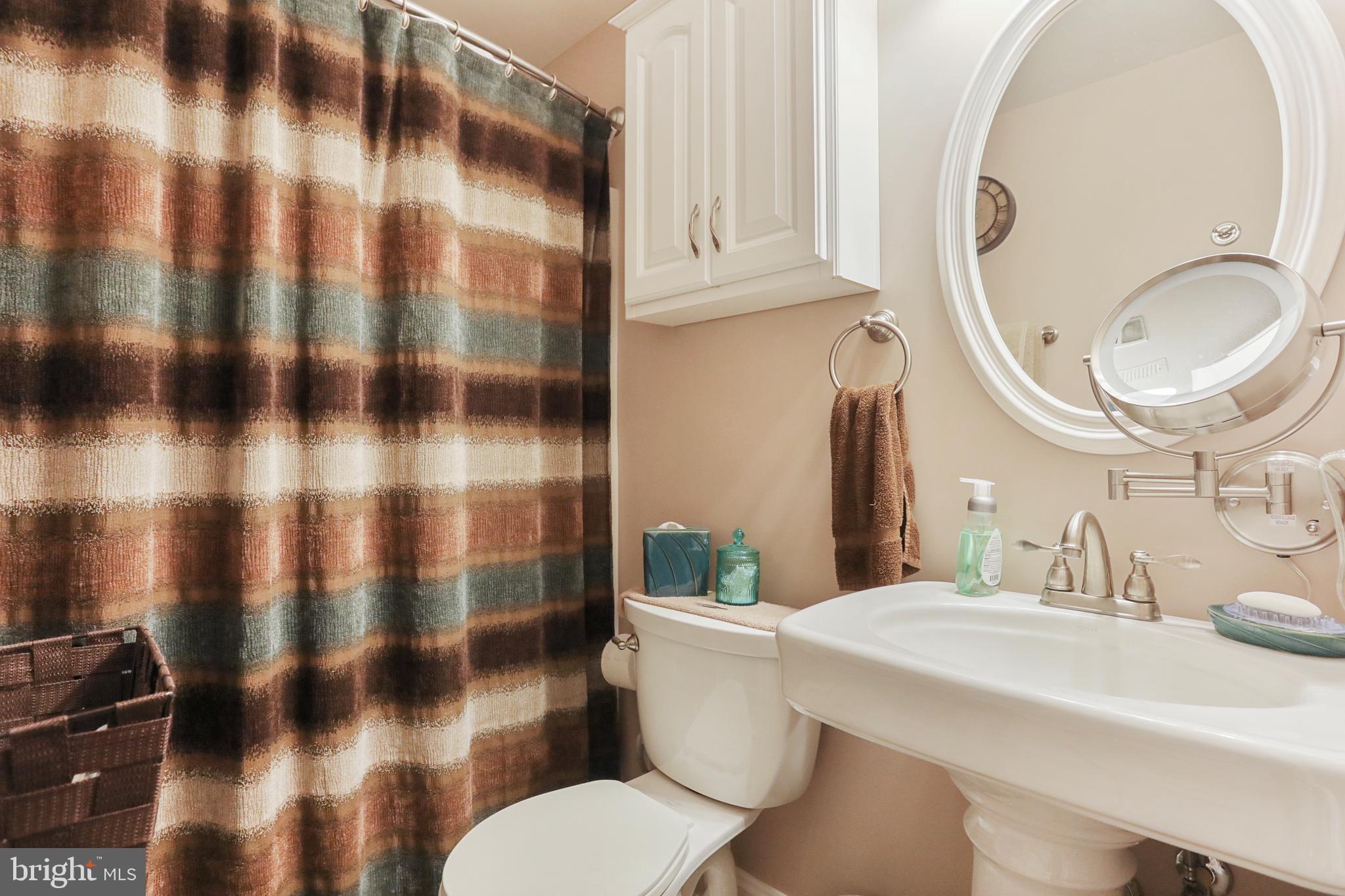 303 Bluff Road Strasburg, VA 22657 - Photo 54 of 65 basement bath
