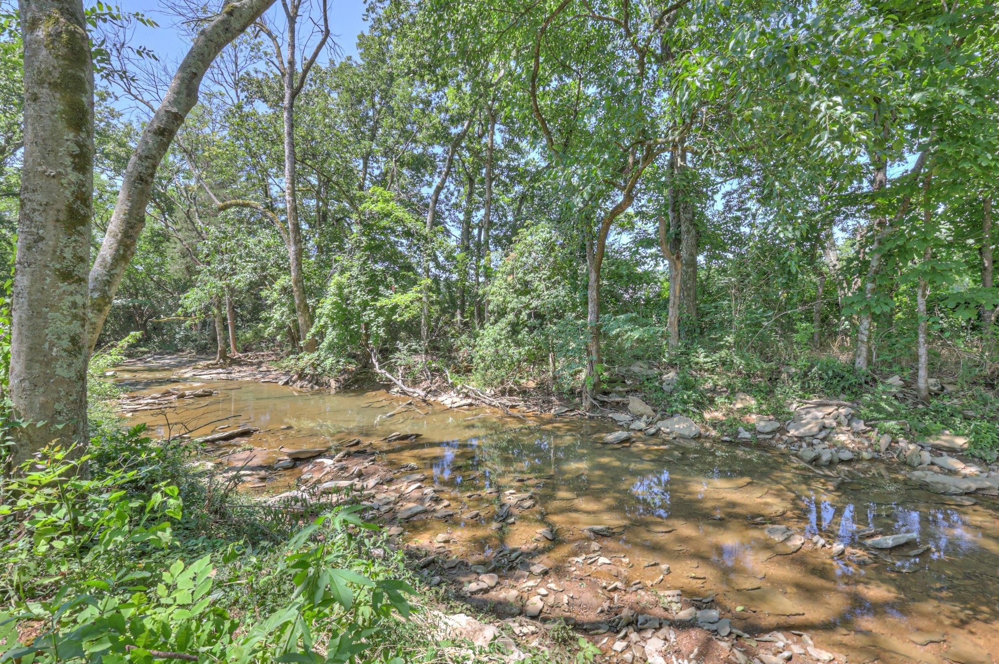 3931 Taylors Store Road Hampshire, TN 38461 - Photo 8 of 44 a view of outdoor space and trees