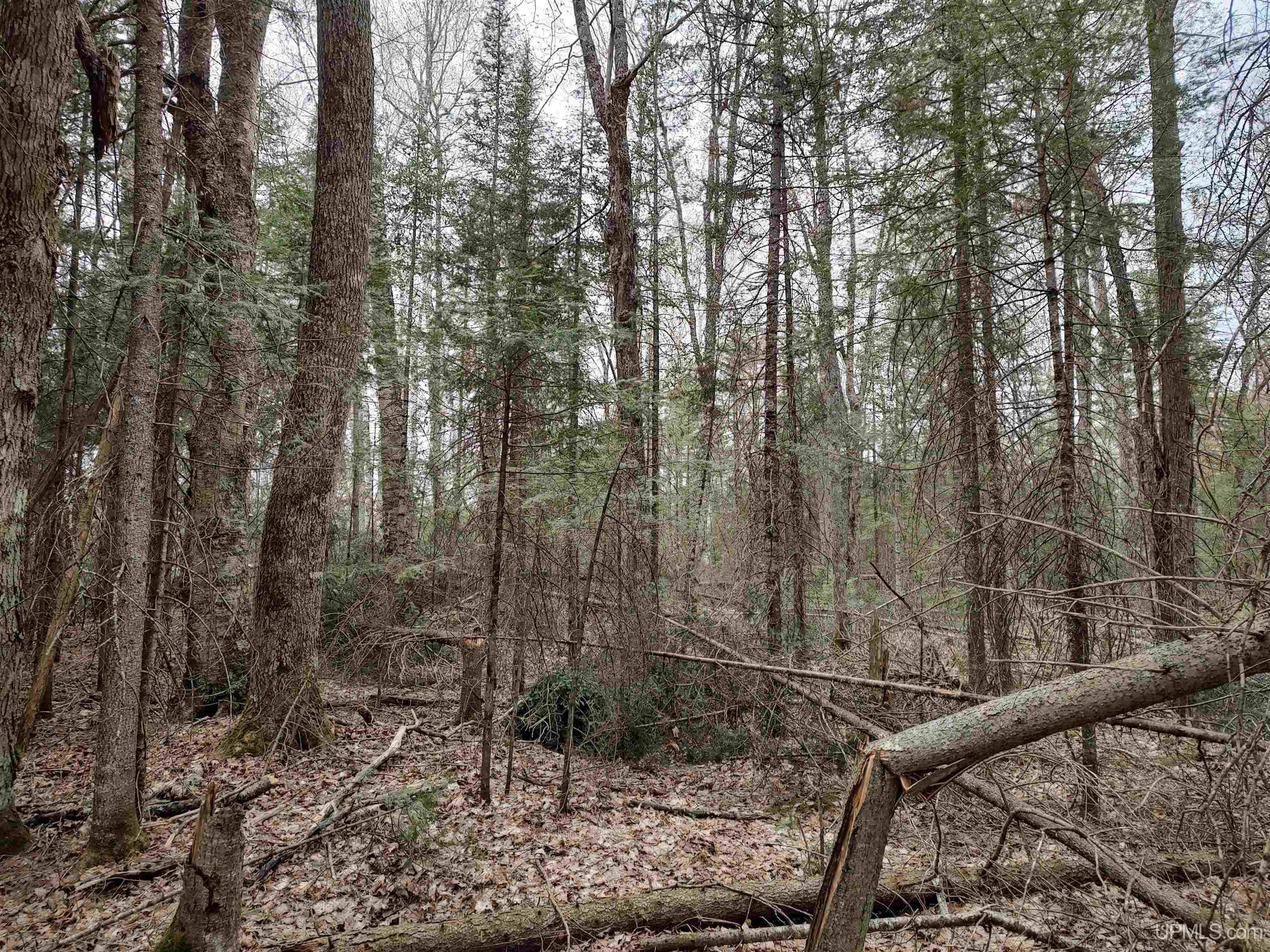 10 Fence Lake Road Michigamme, MI 49861 - Photo 21 of 42