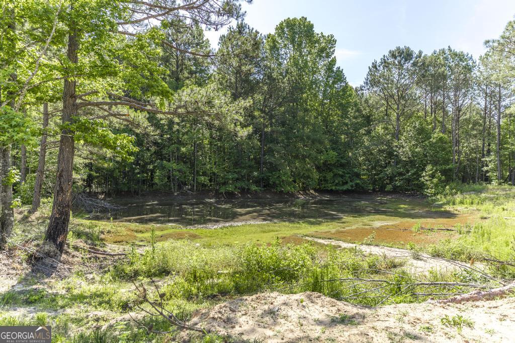 3270 Hamlin Road Lizella, GA 31052 - Photo 45 of 59