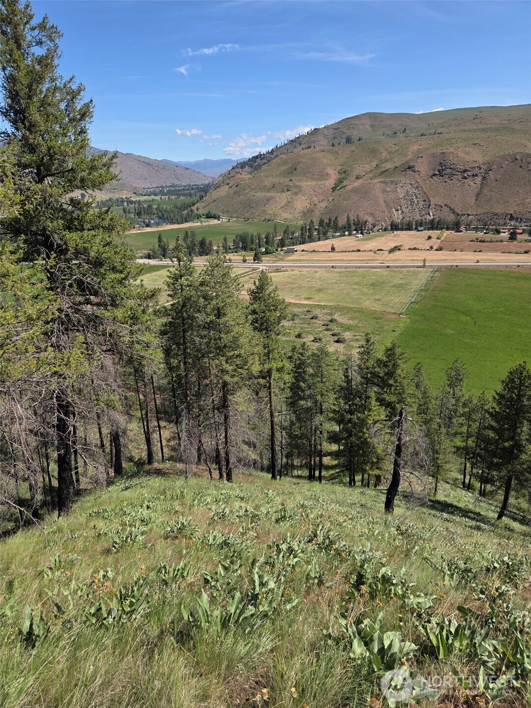 -xxx Gold Creek Loop Road Carlton, WA 98814 - Photo 6 of 14 a view of lake with mountain