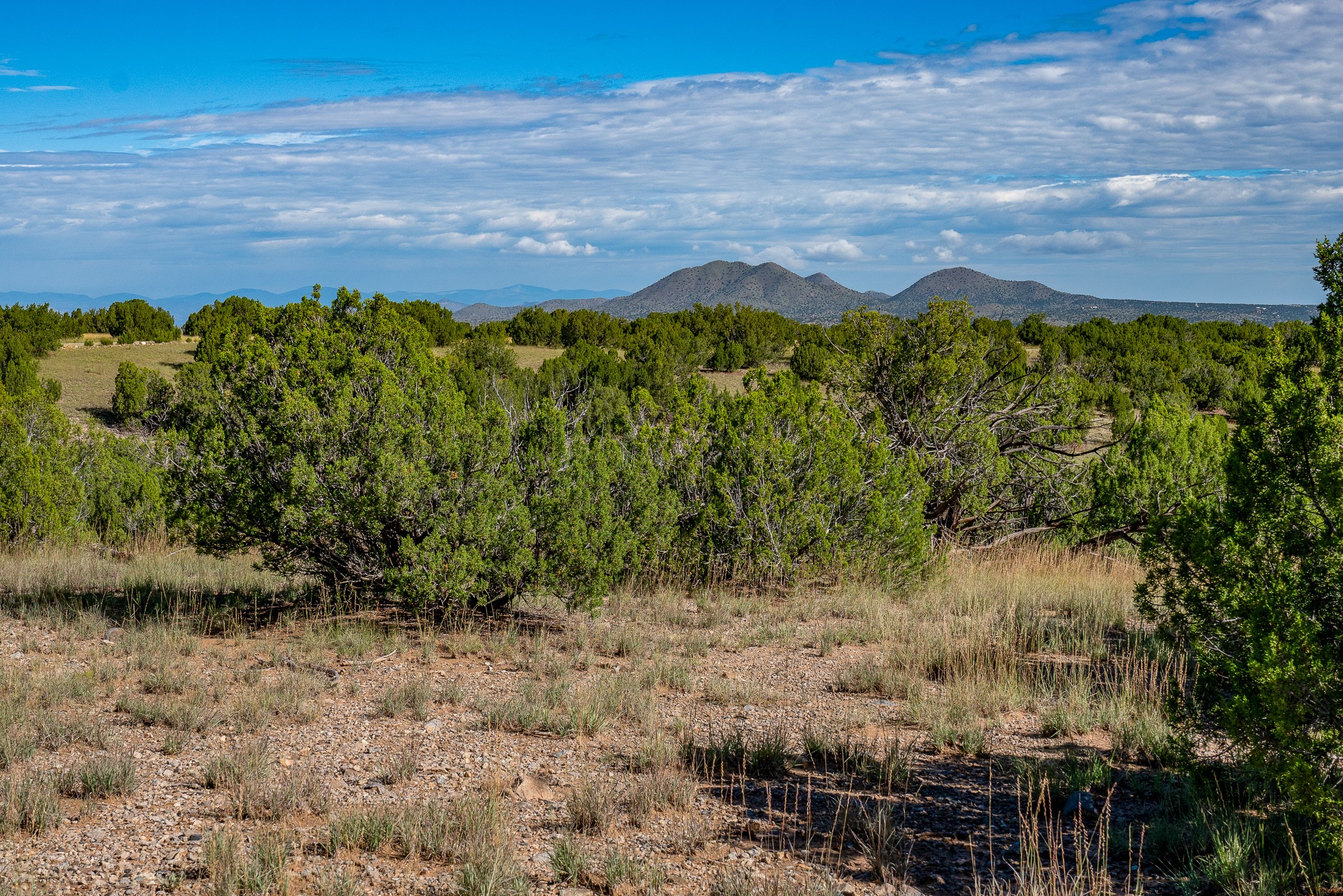 95 Grenfell Ranch Road Cerrillos, NM 87010 - Photo 37 of 47