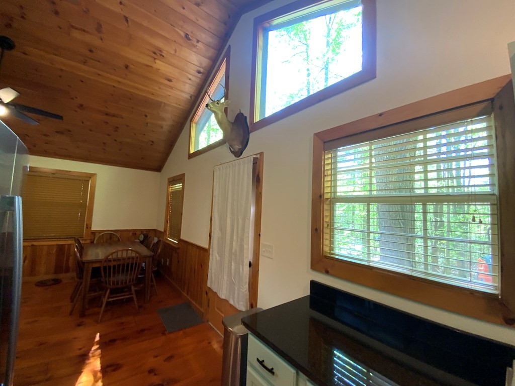 433 Damons Trail Murphy, NC 28906 - Photo 9 of 20