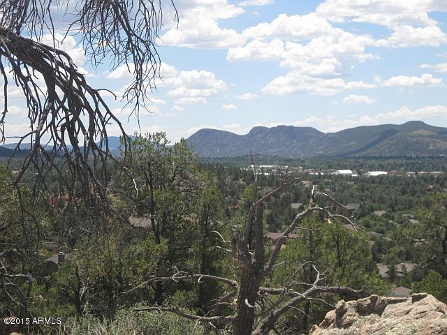 Photo 07
