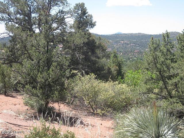 1007 West Falcon Lookout Lane, Unit 9 Payson, AZ 85541 - Photo 8 of 18 Photo 08