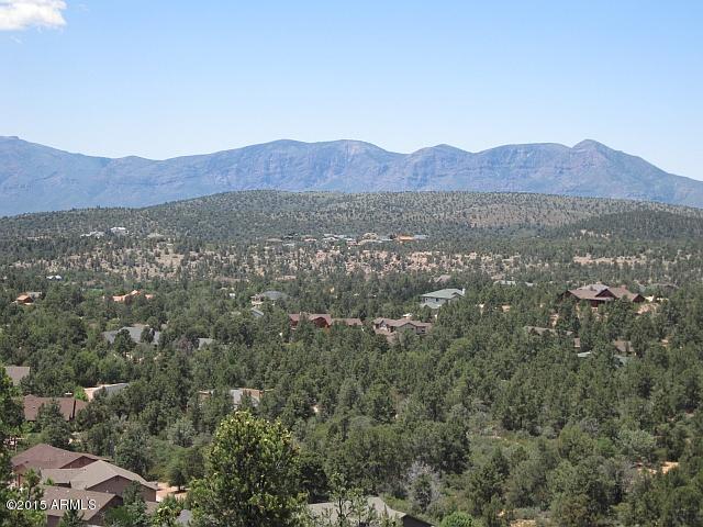 1007 West Falcon Lookout Lane, Unit 9 Payson, AZ 85541 - Photo 9 of 18 Photo 09