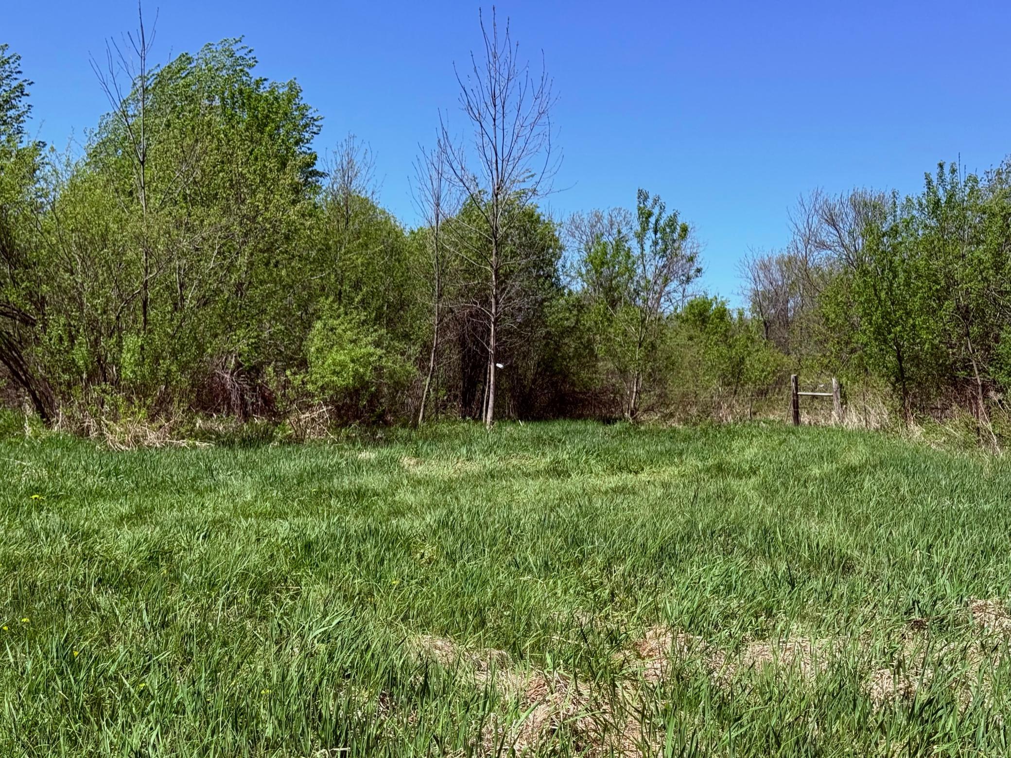 Tbd Ivy Road Milaca, MN 56353 - Photo 4 of 24