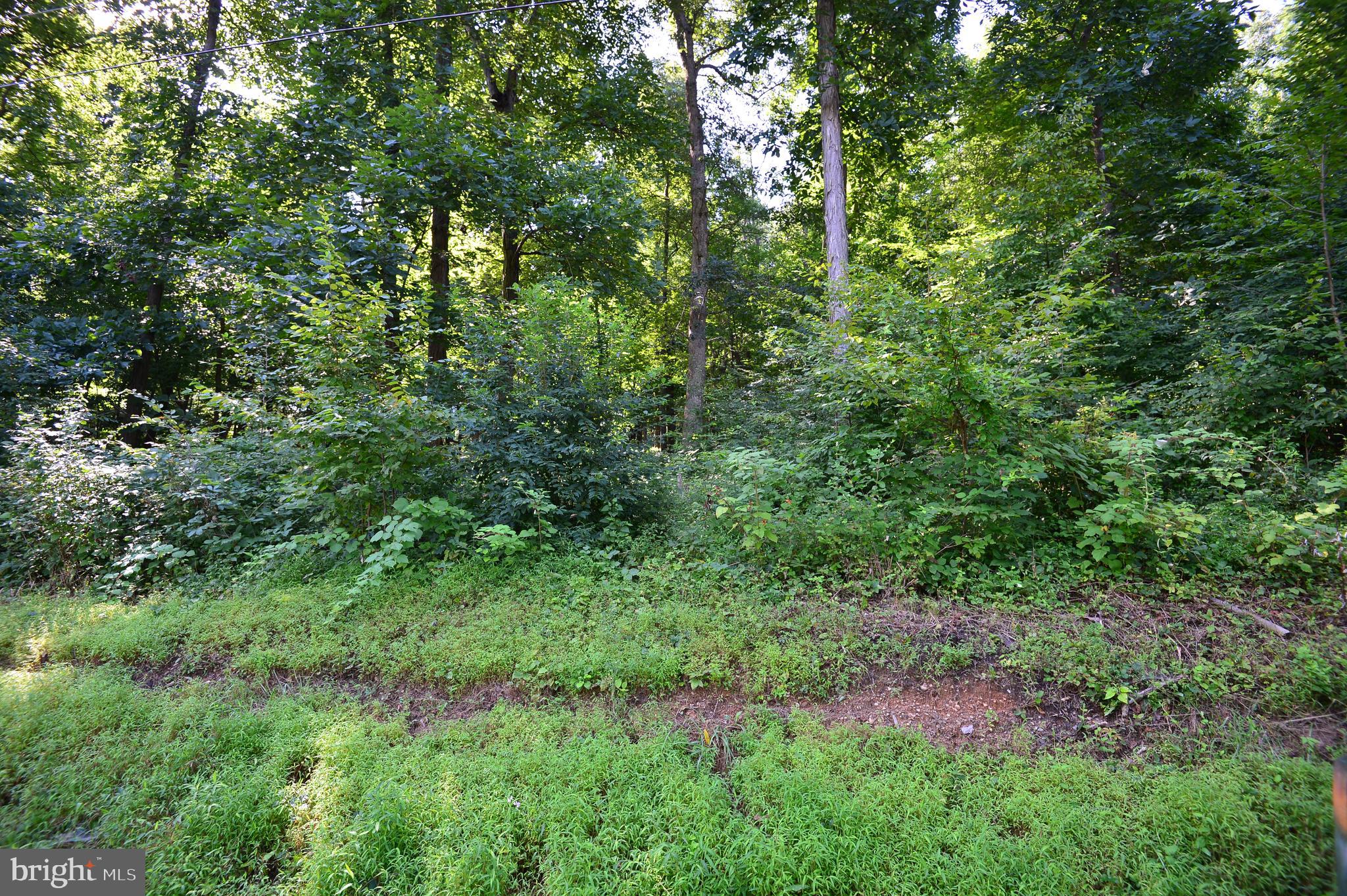 Lot 6 Dry Run Road Grantville, PA 17028 - Photo 1 of 7 Gallery Image 1