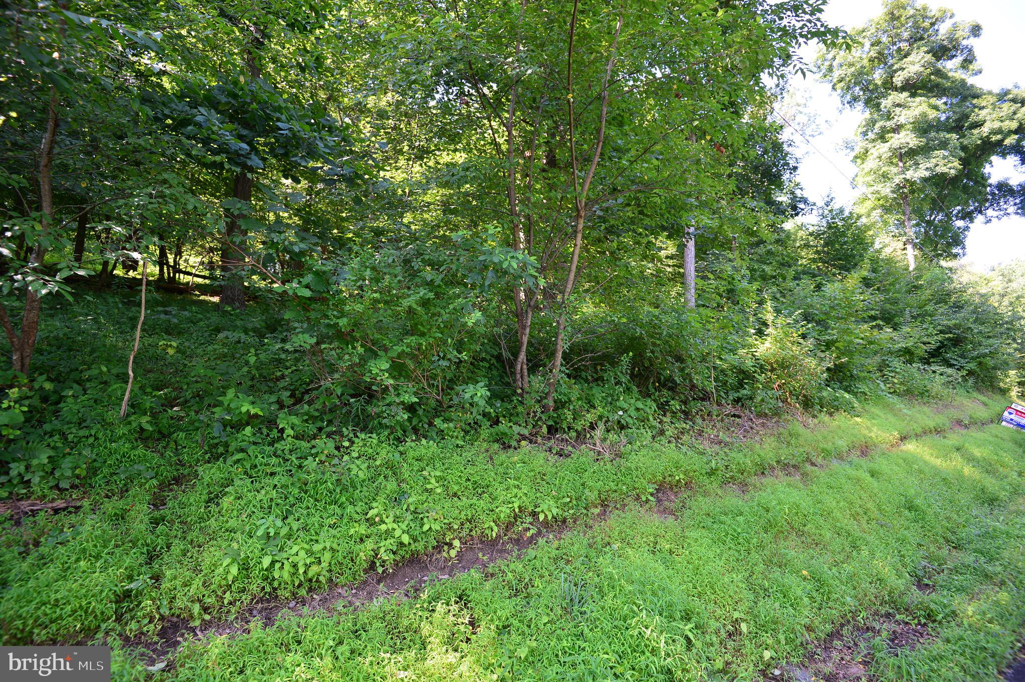 Lot 6 Dry Run Road Grantville, PA 17028 - Photo 3 of 7 Gallery Image 3