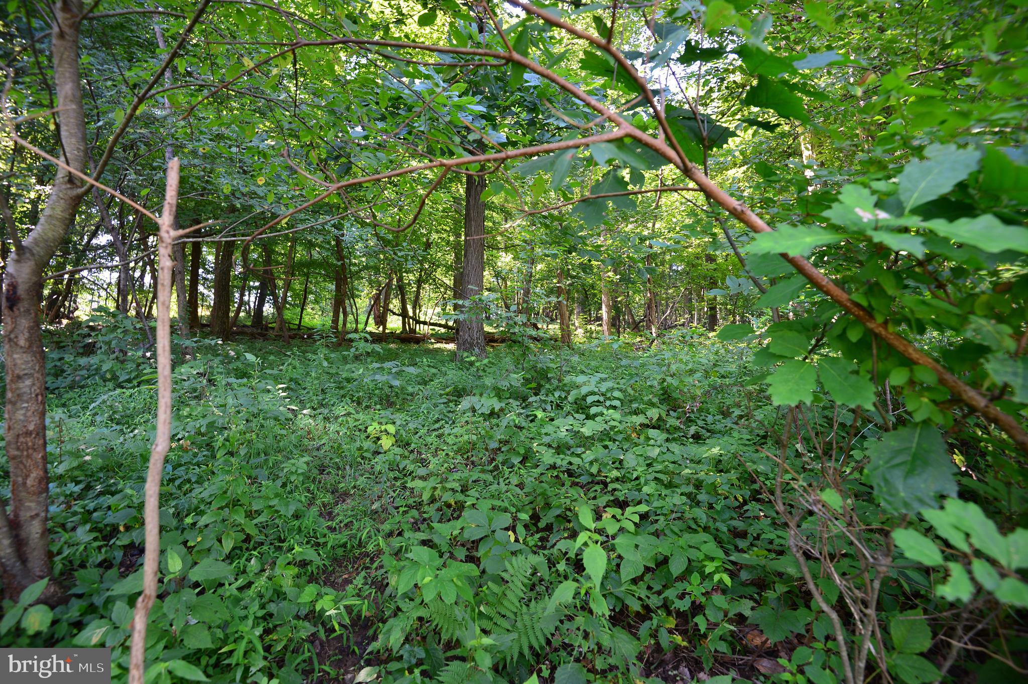 Lot 6 Dry Run Road Grantville, PA 17028 - Photo 4 of 7 Gallery Image 4