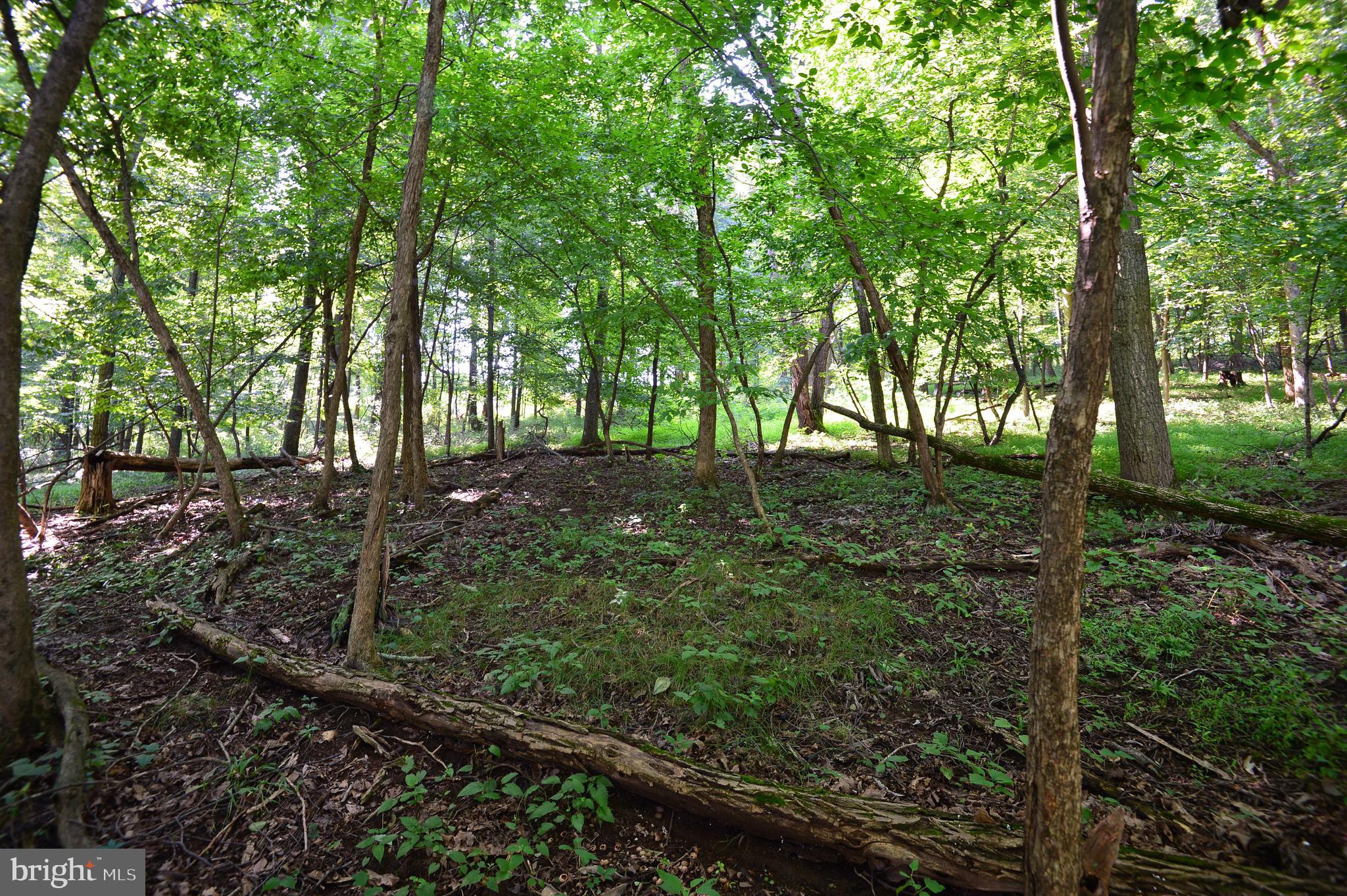 Lot 6 Dry Run Road Grantville, PA 17028 - Photo 6 of 7 Gallery Image 6