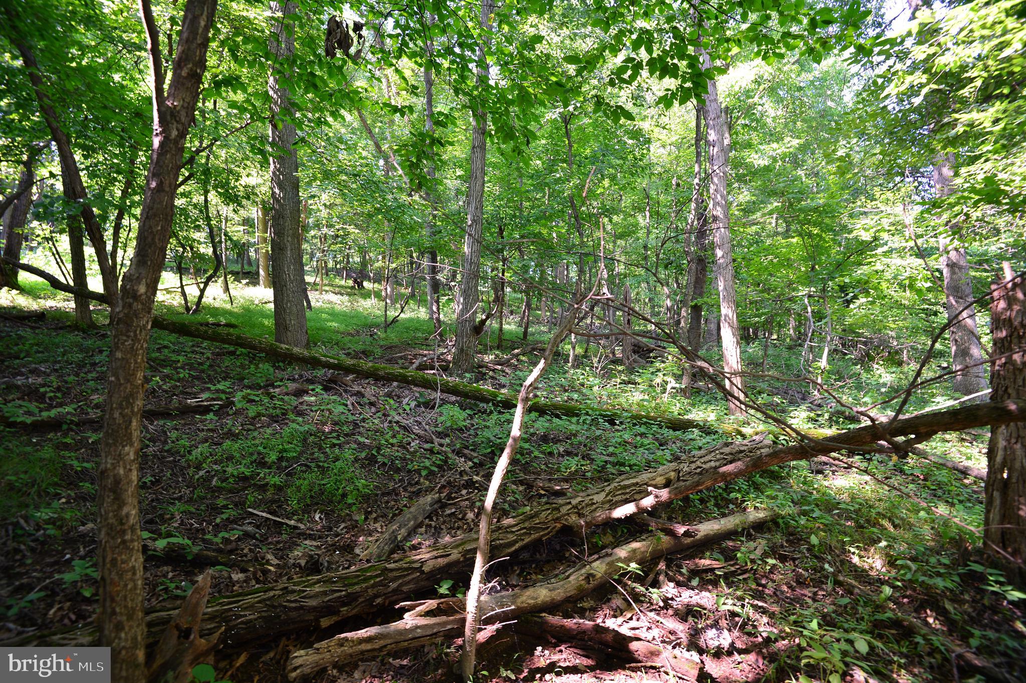 Lot 6 Dry Run Road Grantville, PA 17028 - Photo 7 of 7 Gallery Image 7