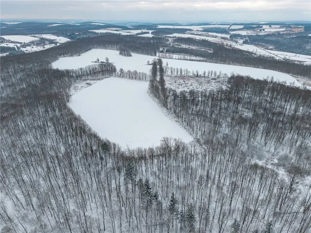 $499,000 | 1870 Reiman Road, Greenwood, NY 14839