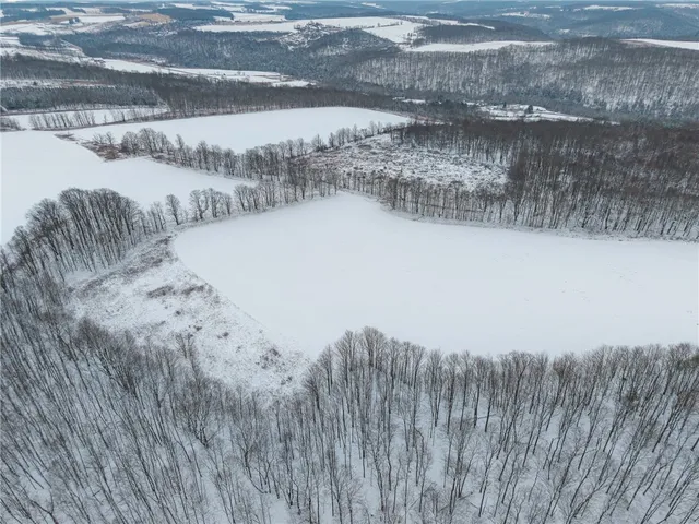 $499,000 | 1870 Reiman Road, Greenwood, NY 14839