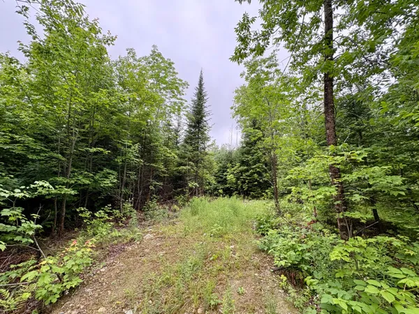 $99,000 | Lot 1 Mt Jefferson Heights, Lee, ME 04455