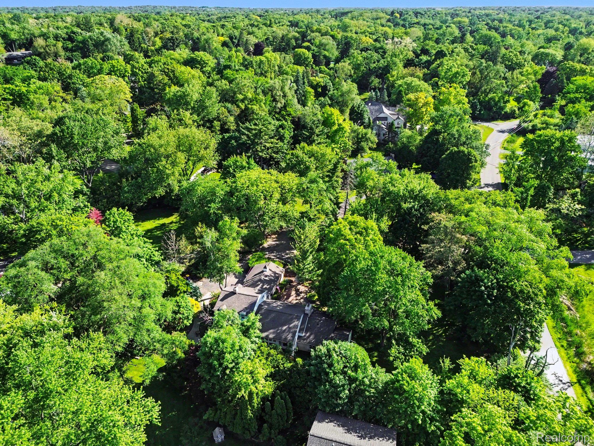 26580 Wellington Road Franklin, MI 48025 - Photo 53 of 61 Nestled within a Dense Canopy of Mature Trees