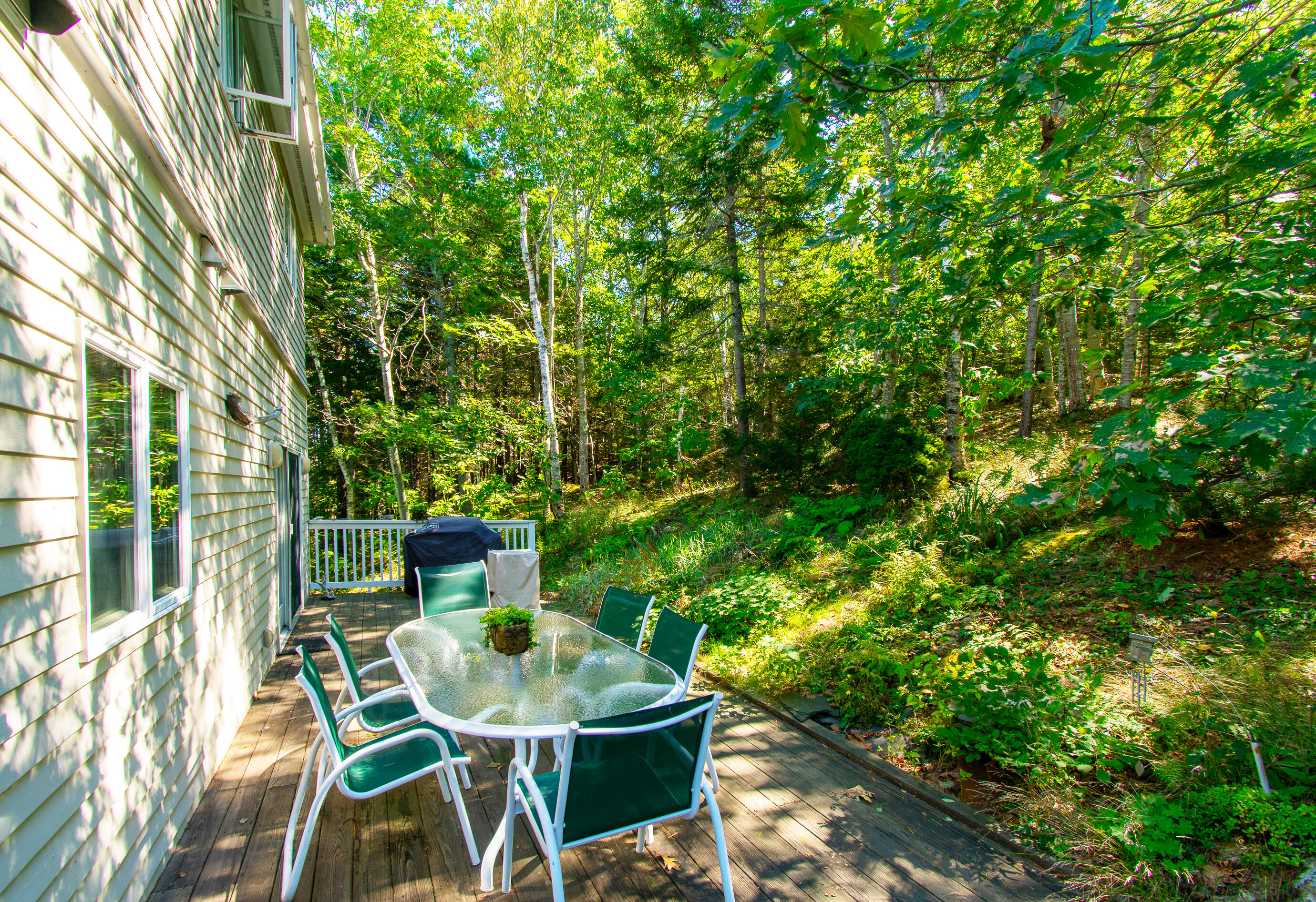 134 Sand Point Road Bar Harbor, ME 04609 - Photo 34 of 47 Nice backyard