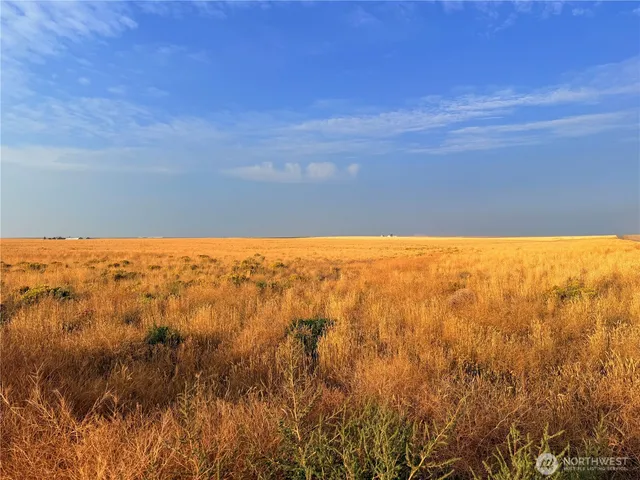 a view of beach and an ocean