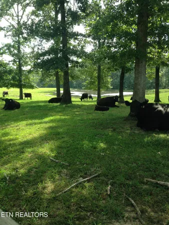 $2,995,000 | 2570 Martha Washington Road, Clarkrange, TN 38553