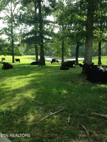 $2,995,000 | 2570 Martha Washington Road, Clarkrange, TN 38553