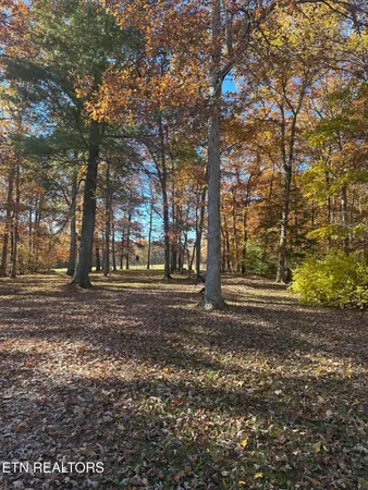 $2,995,000 | 2570 Martha Washington Road, Clarkrange, TN 38553