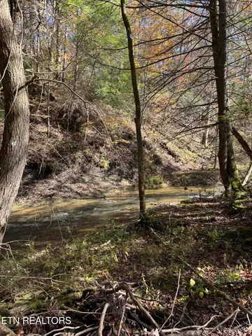 $2,995,000 | 2570 Martha Washington Road, Clarkrange, TN 38553