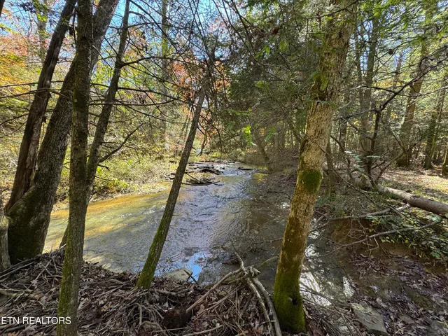 $2,995,000 | 2570 Martha Washington Road, Clarkrange, TN 38553