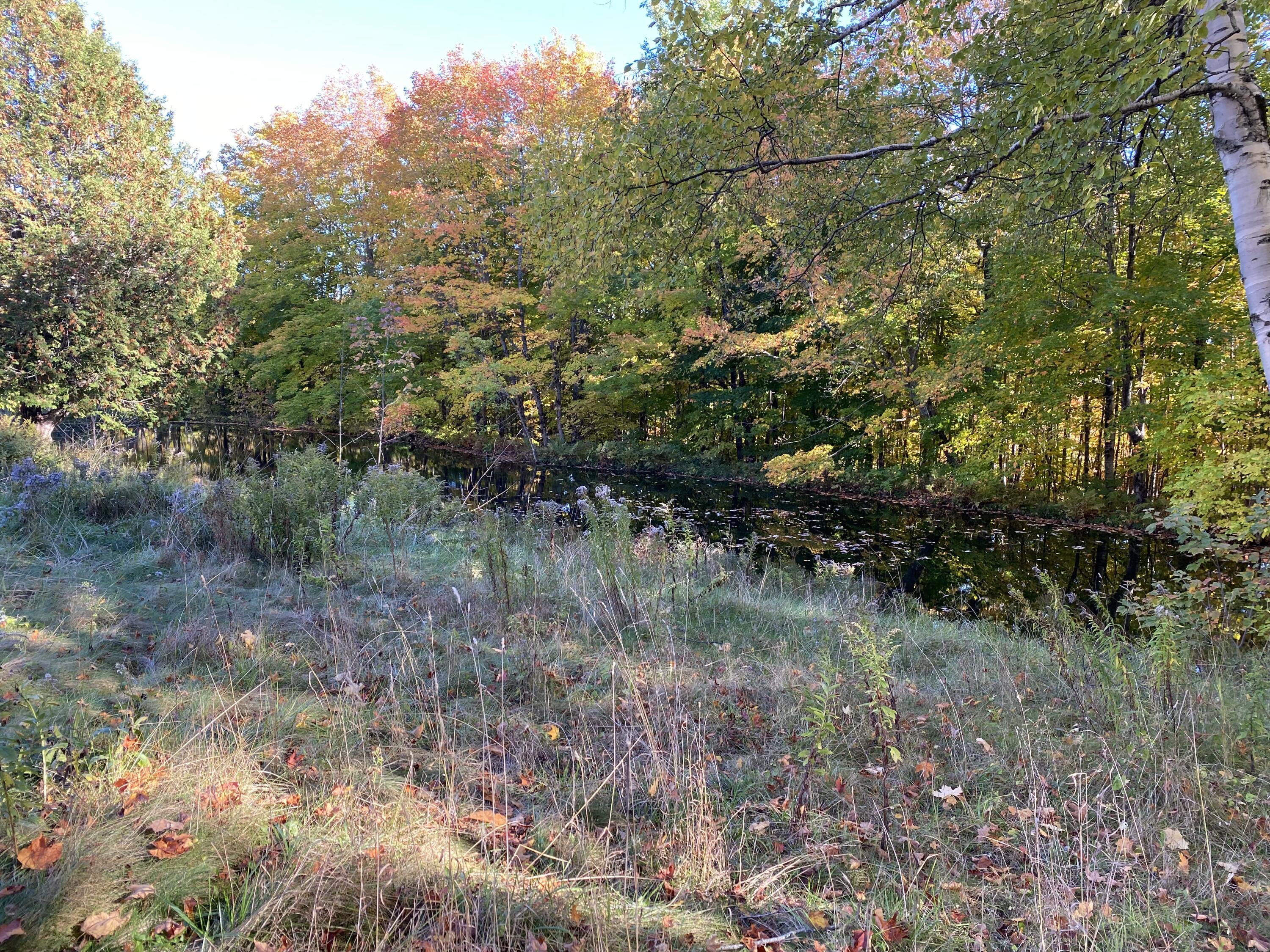 44 Sugartree Road Madawaska, ME 04773 - Photo 18 of 90 IMG_7524