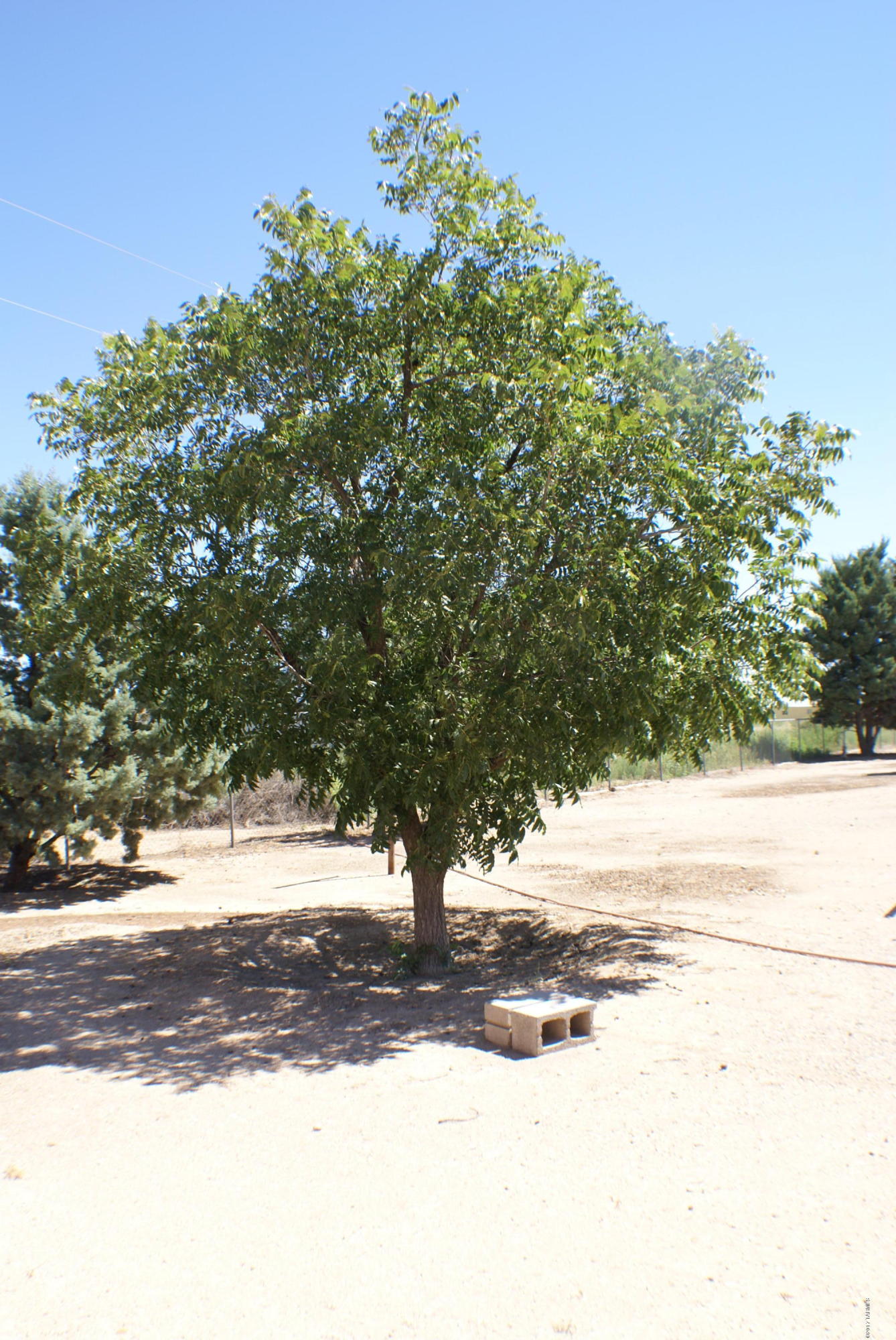 3700 North Fort Grant Road Willcox, AZ 85643 - Photo 47 of 47 Gallery Image 47