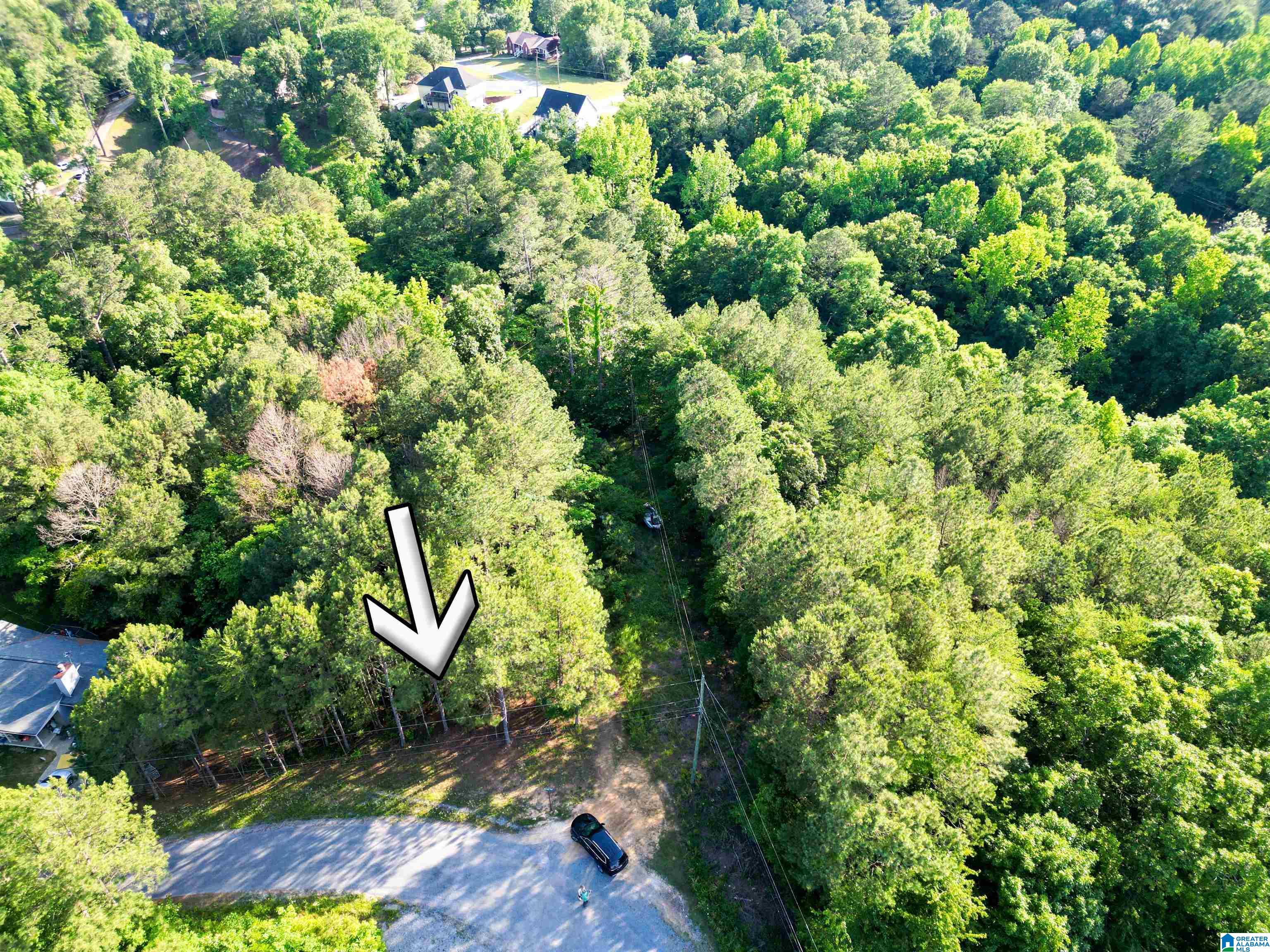 0 Mallard Point, Unit 6 Warrior, AL 35180 - Photo 3 of 13