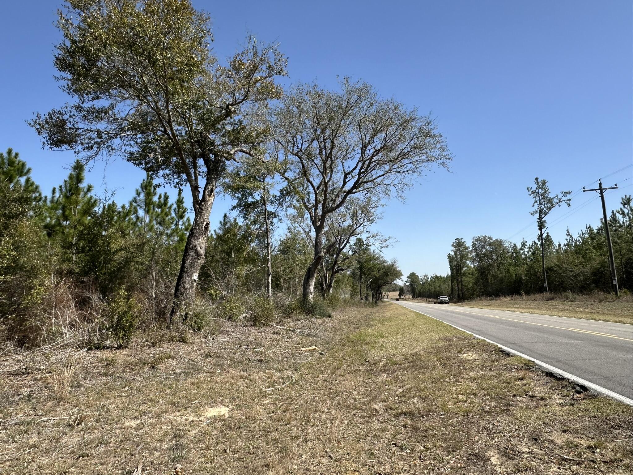 Tract#6416 Douglas Ferry Road Caryville, FL 32427 - Photo 2 of 16 a view of a backyard of the house