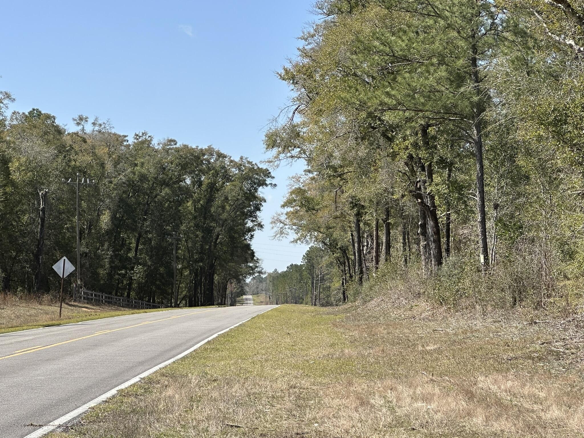 Tract#6416 Douglas Ferry Road Caryville, FL 32427 - Photo 5 of 16 a view of a field with trees in the background