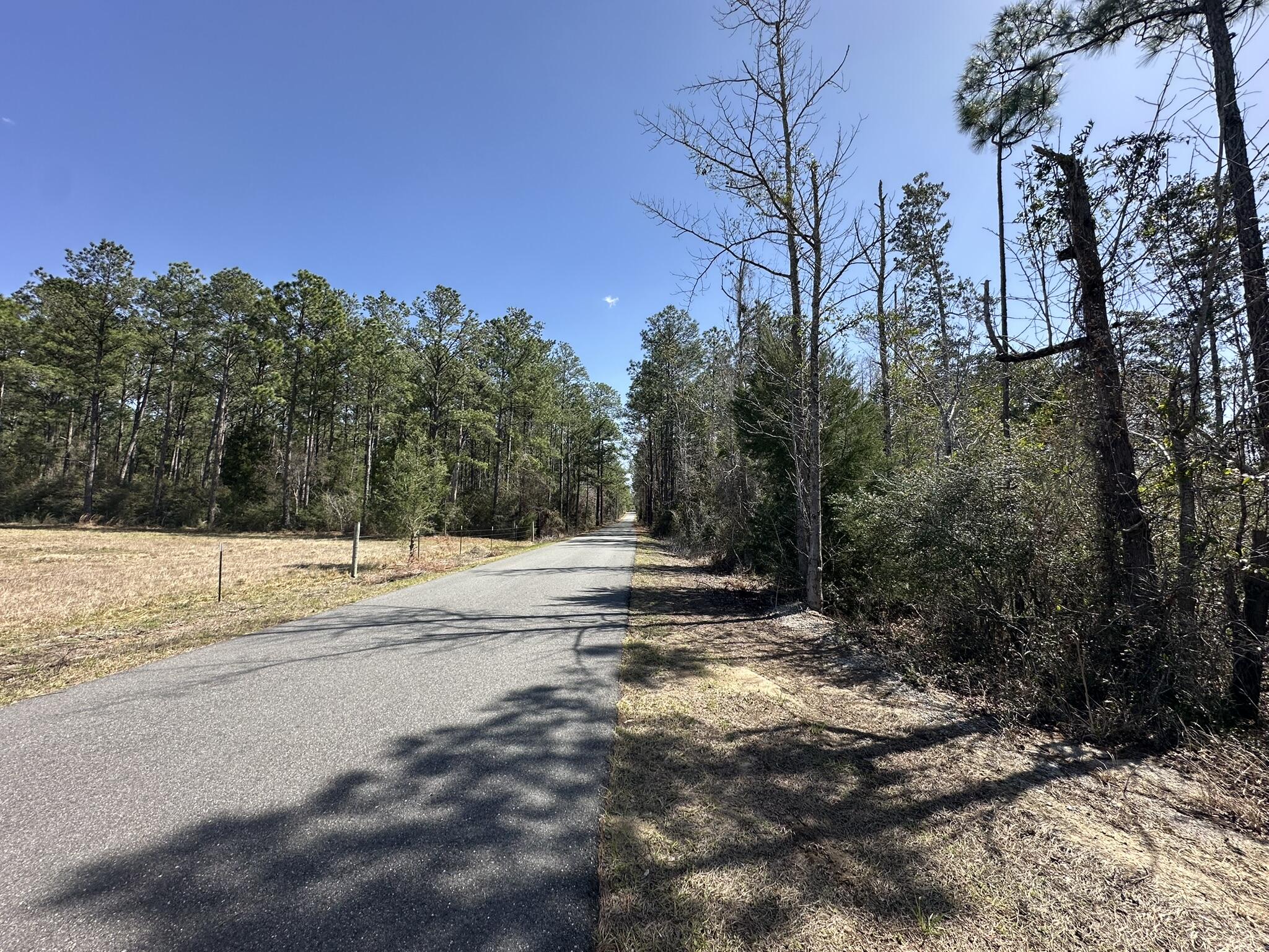Tract#6416 Douglas Ferry Road Caryville, FL 32427 - Photo 6 of 16 a view of a yard with a house
