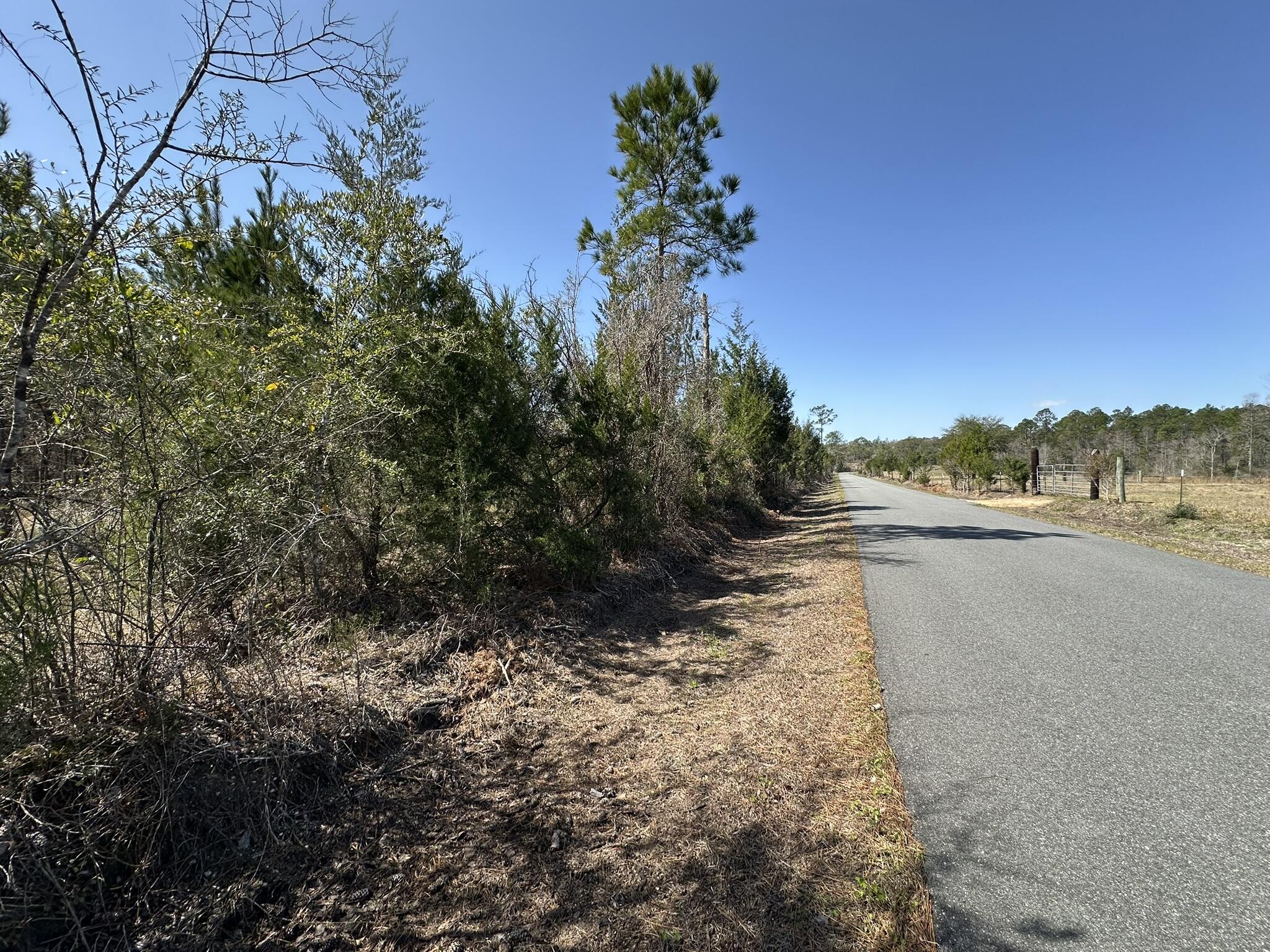 Tract#6416 Douglas Ferry Road Caryville, FL 32427 - Photo 8 of 16 a view of a road with a yard
