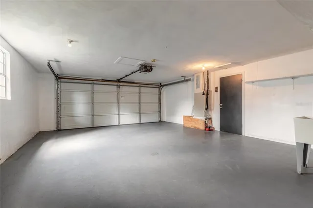 a view of a backyard with plants and large tree