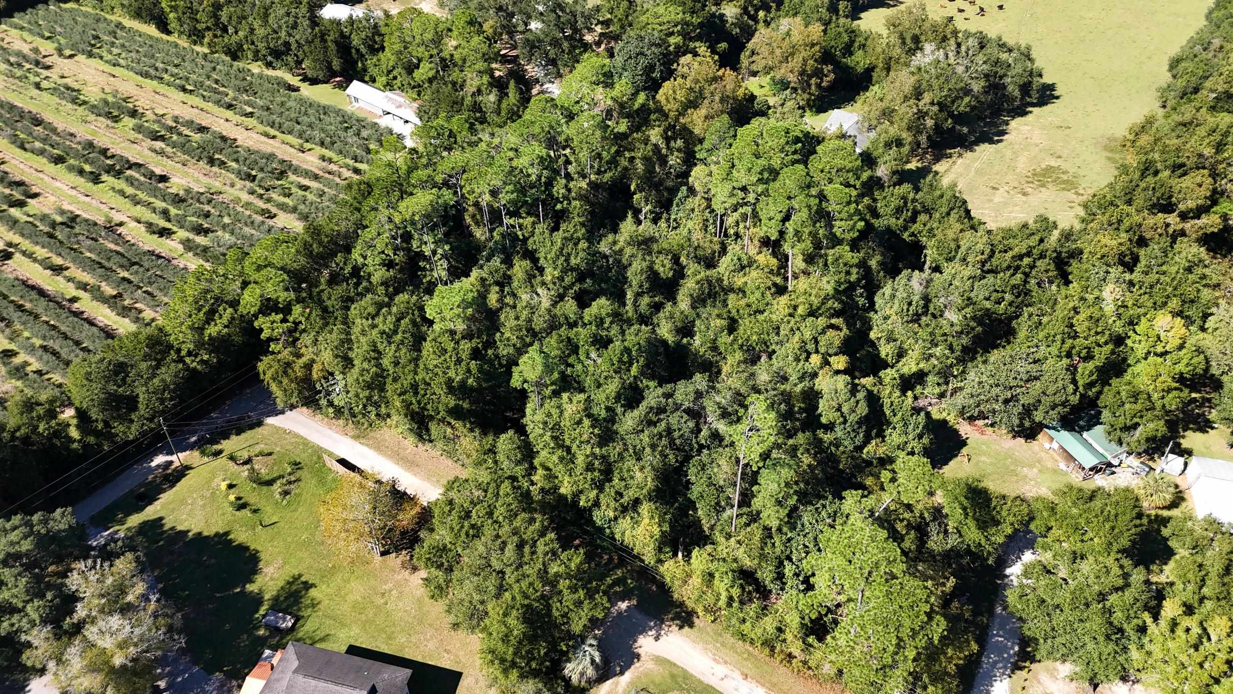 0 Perdido Street Lillian, AL 36549 - Photo 12 of 18 Aerial View